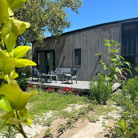 Tiny House Framed By Nature Near Sea In Karaburun Villa İzmir Luaran gambar